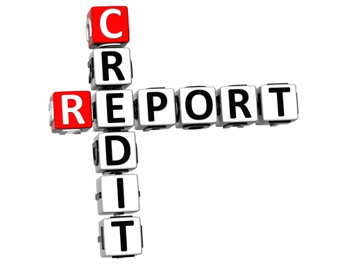 3D Credit Report Crossword